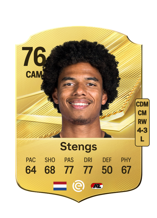 Stengs