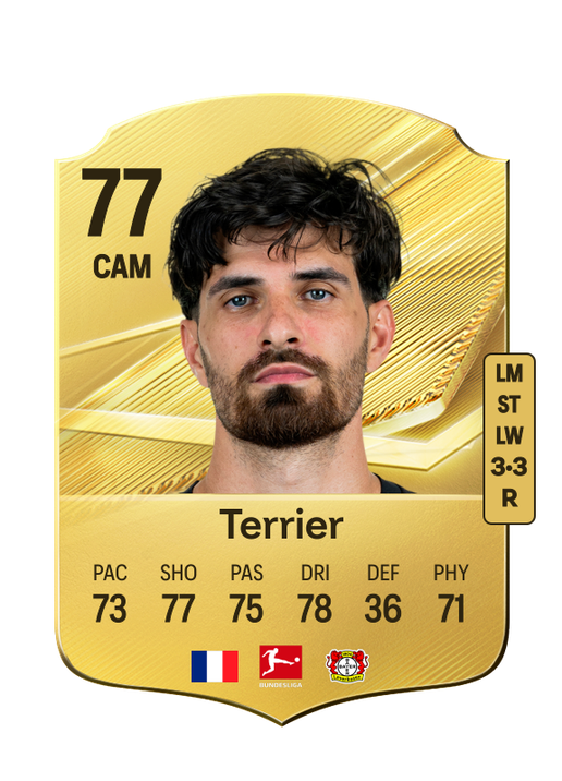 Terrier