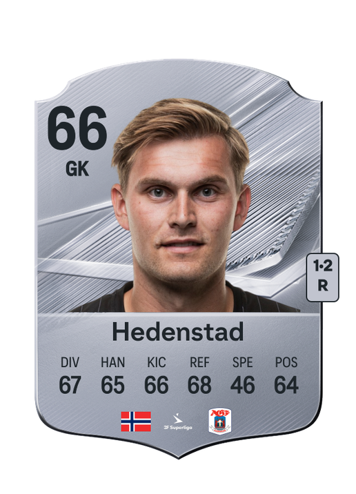 Hedenstad
