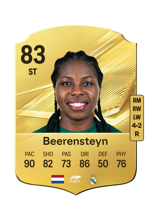 Beerensteyn