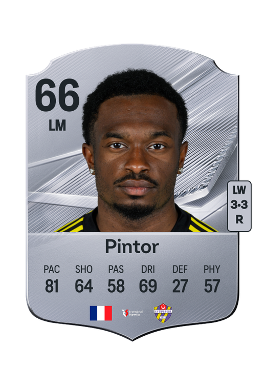 Pintor