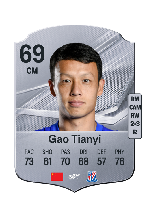 Gao Tianyi