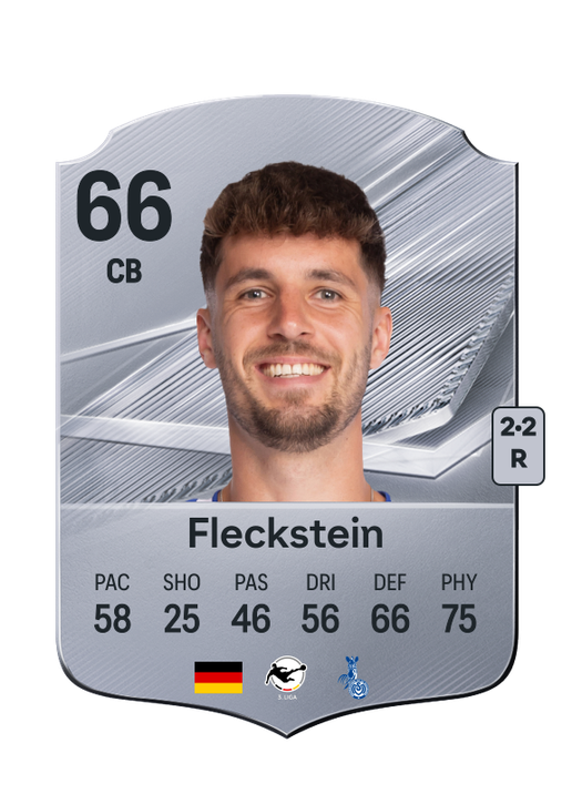 Fleckstein