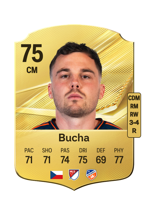 Bucha