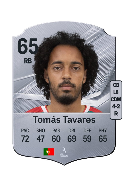 Tomás Tavares
