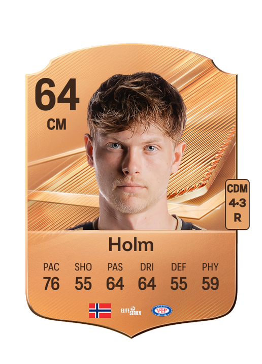 Holm