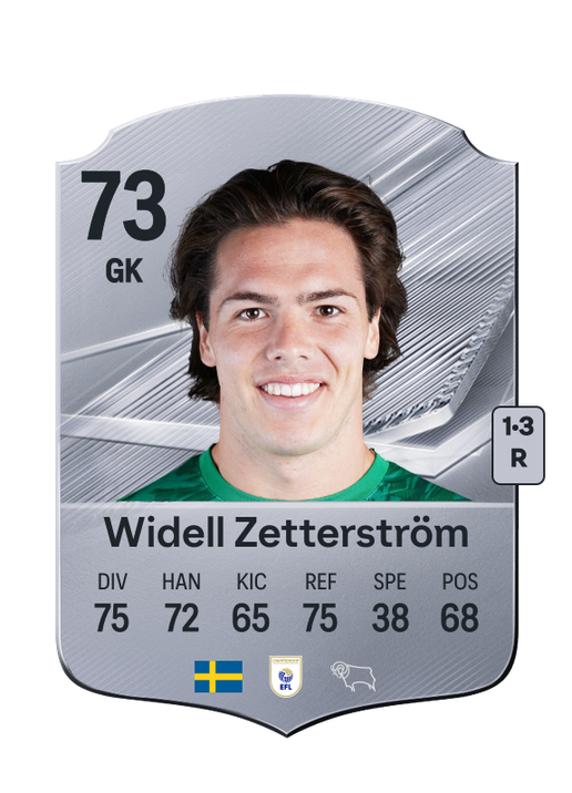 Widell Zetterström