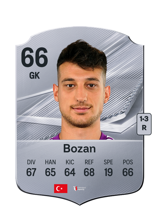 Bozan