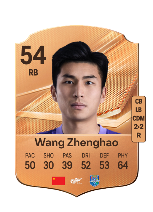 Wang Zhenghao