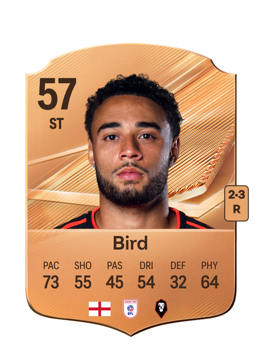 Bird