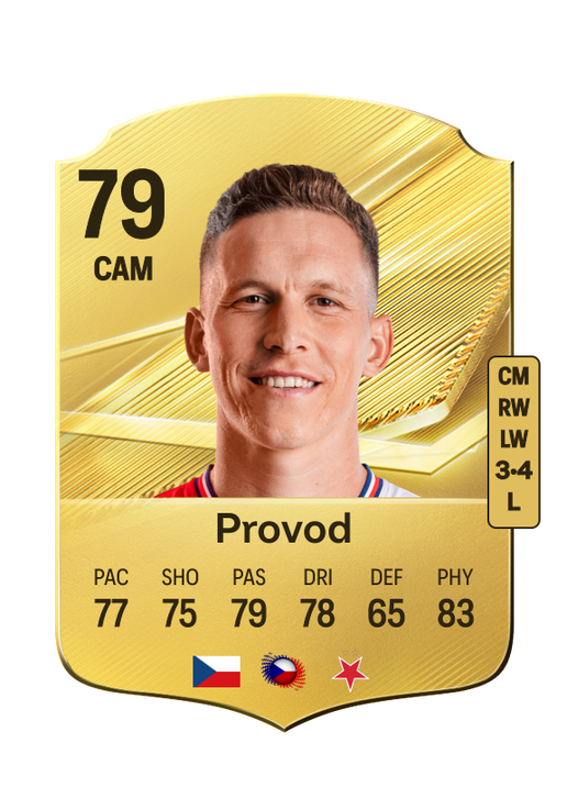 Provod