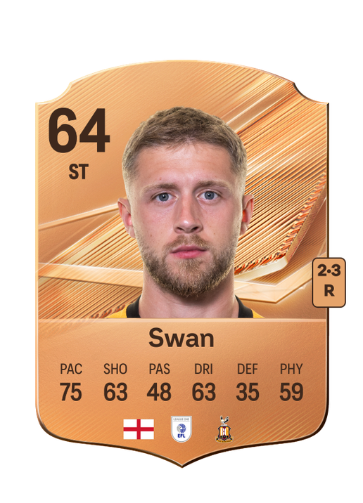 Swan