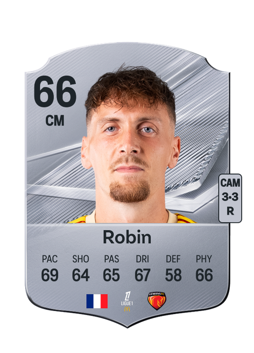 Robin