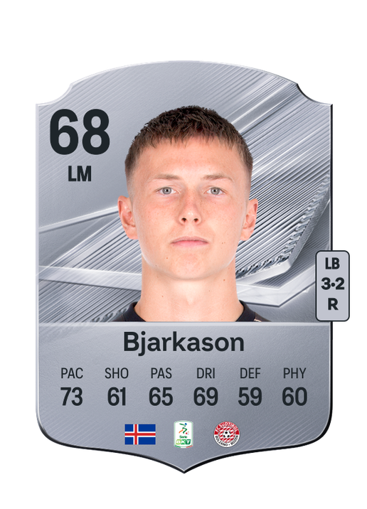 Bjarkason