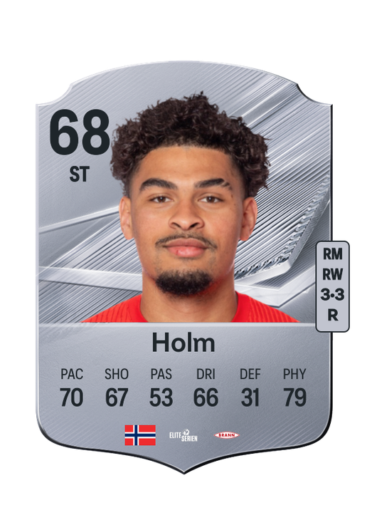 Holm