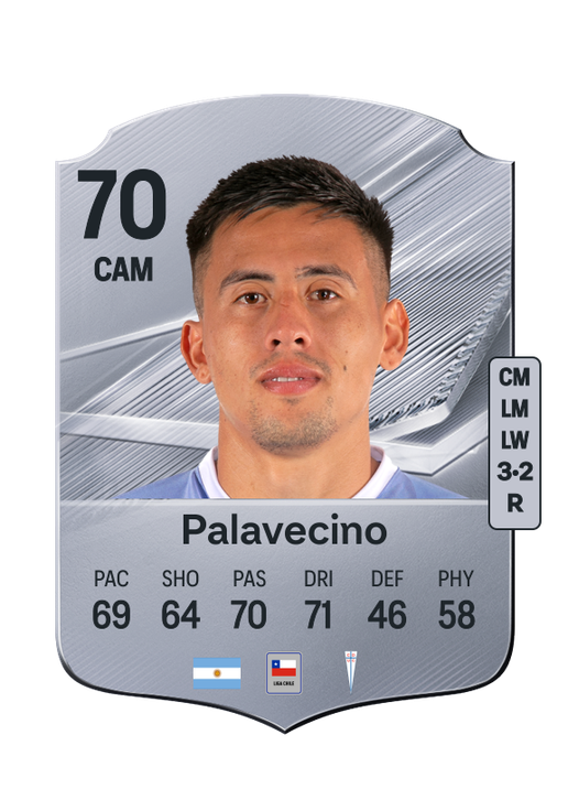 Palavecino