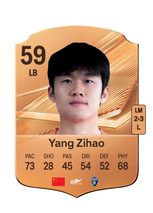 Yang Zihao