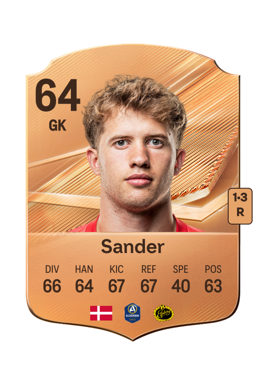 Sander