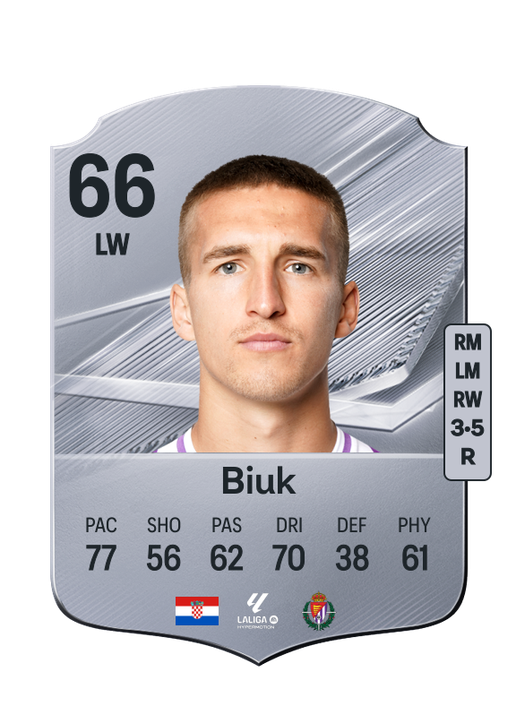Biuk