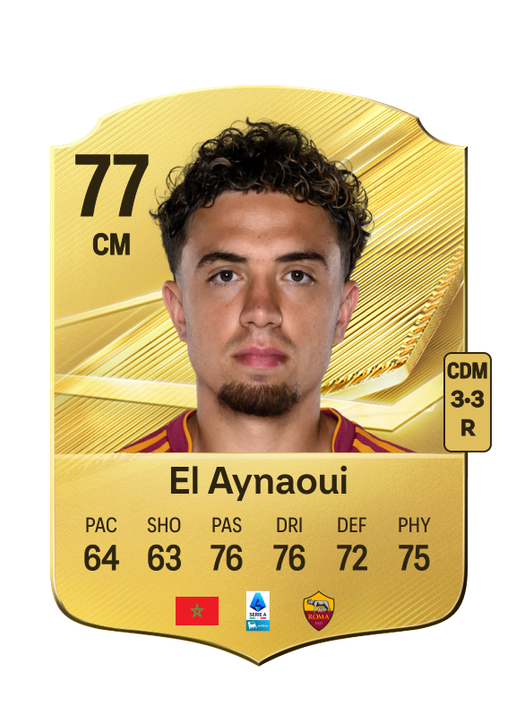 El Aynaoui