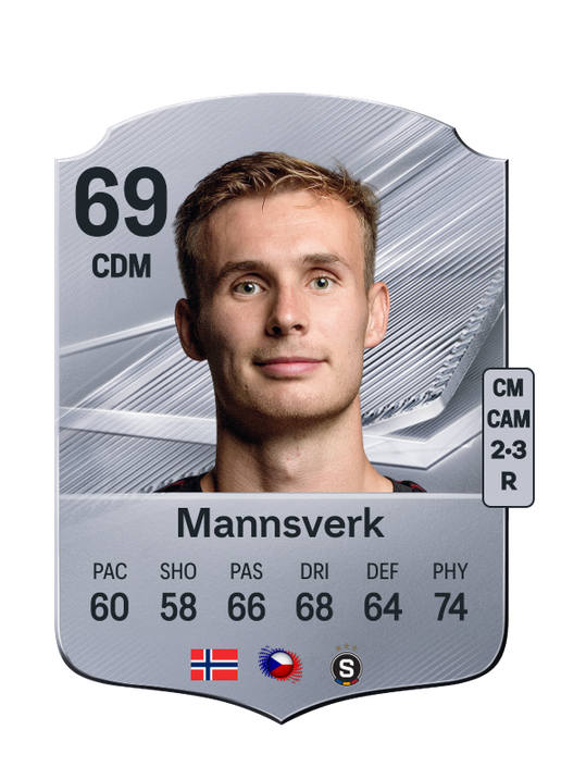 Mannsverk