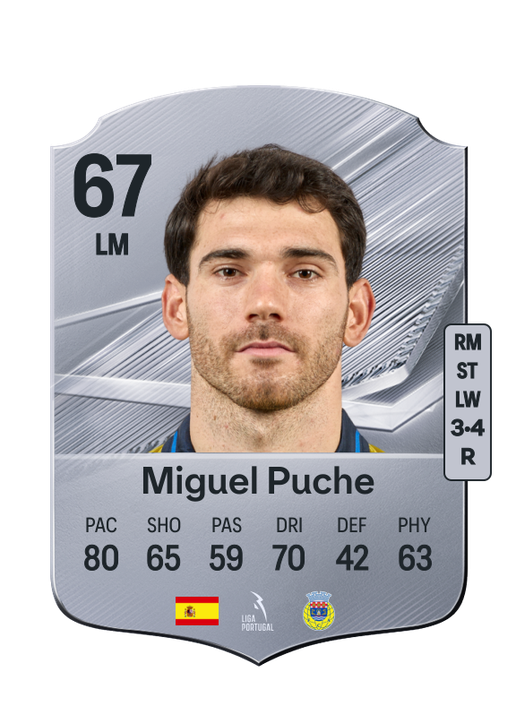 Miguel Puche