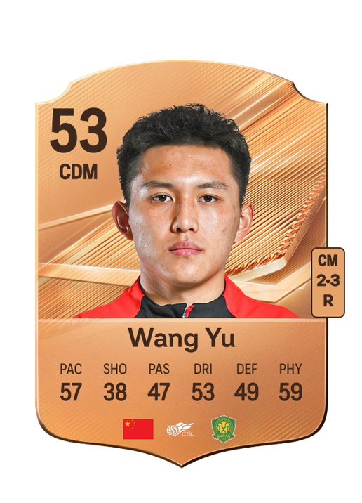 Wang Yu