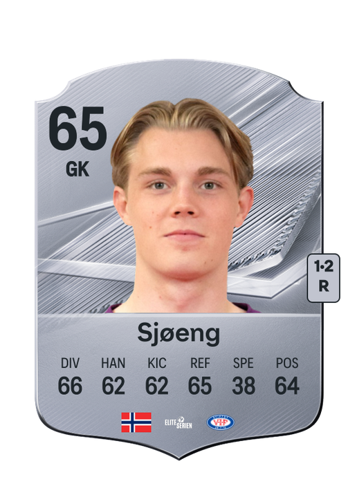 Sjøeng