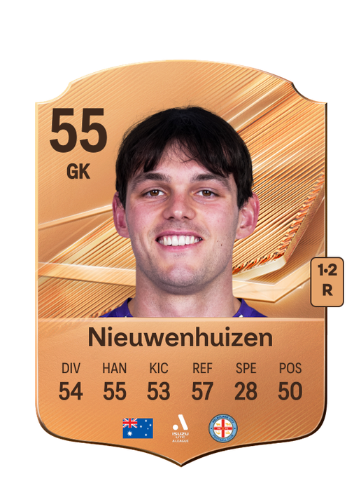 Nieuwenhuizen
