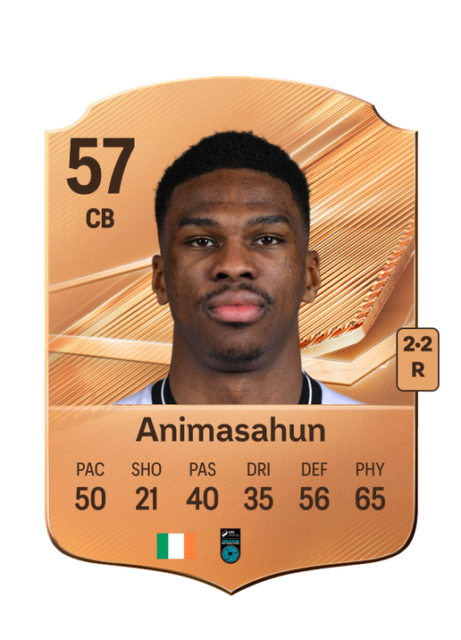 Animasahun
