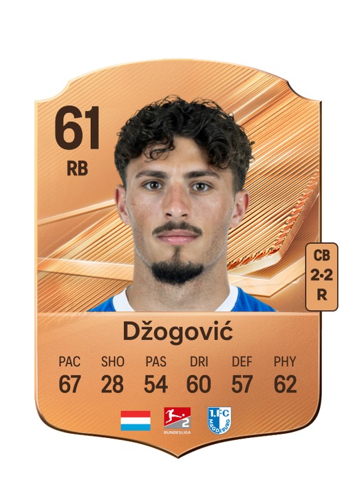 Džogović