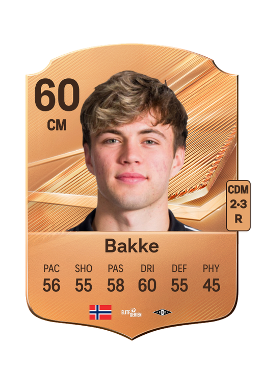 Bakke