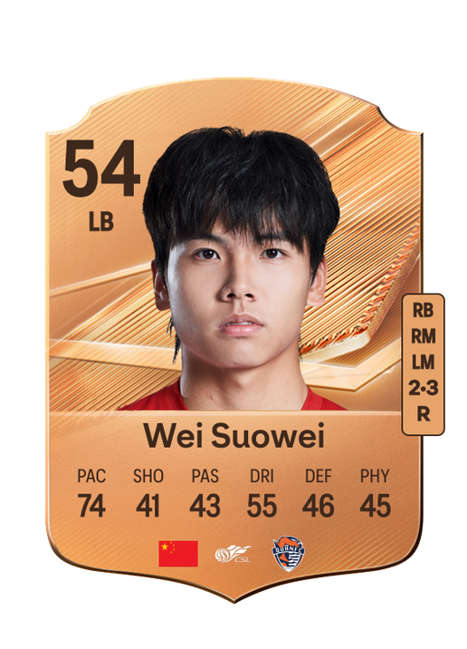 Wei Suowei