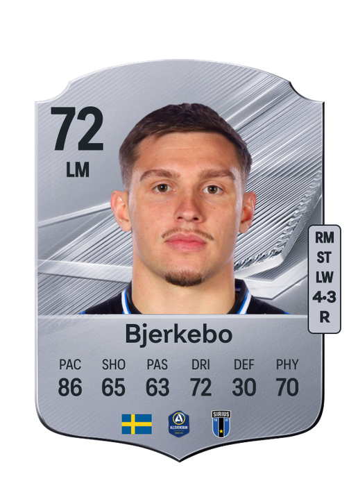Bjerkebo