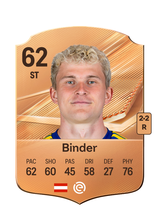 Binder