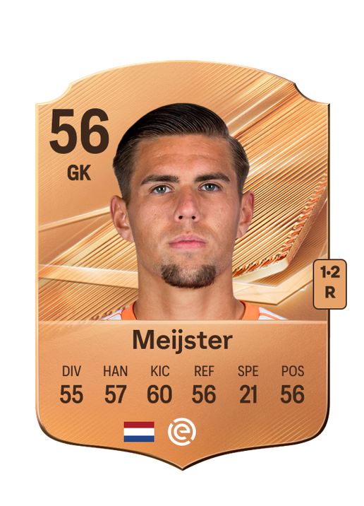 Meijster