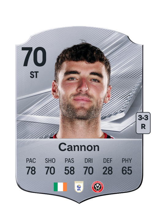 Cannon