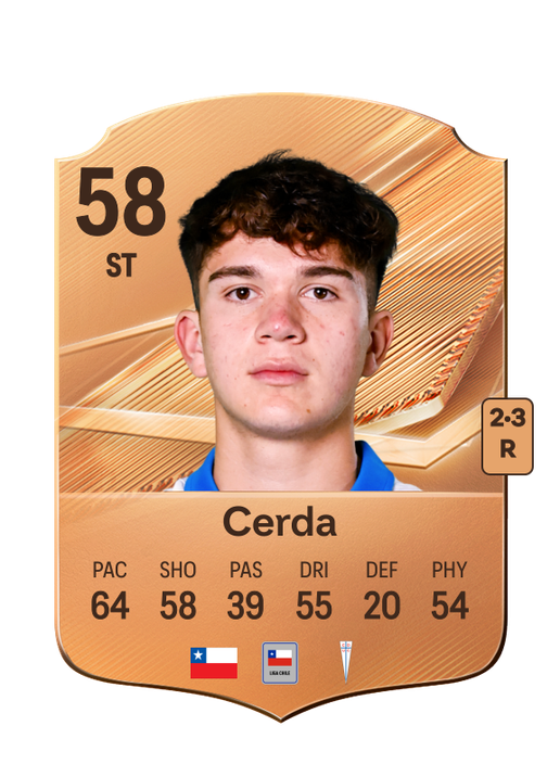 Cerda