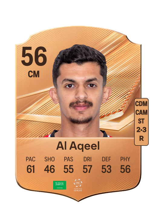 Al Aqeel