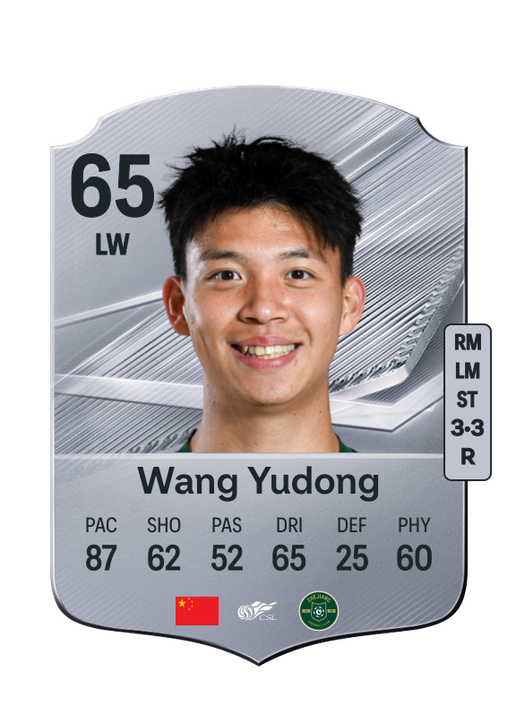Wang Yudong