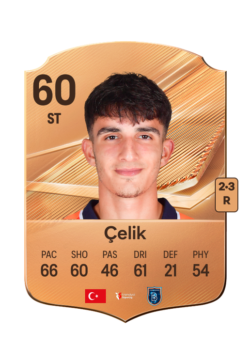 Çelik