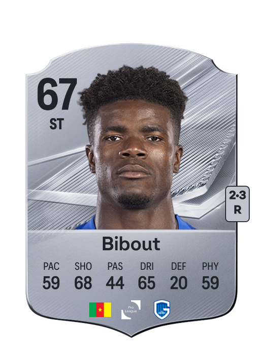 Bibout