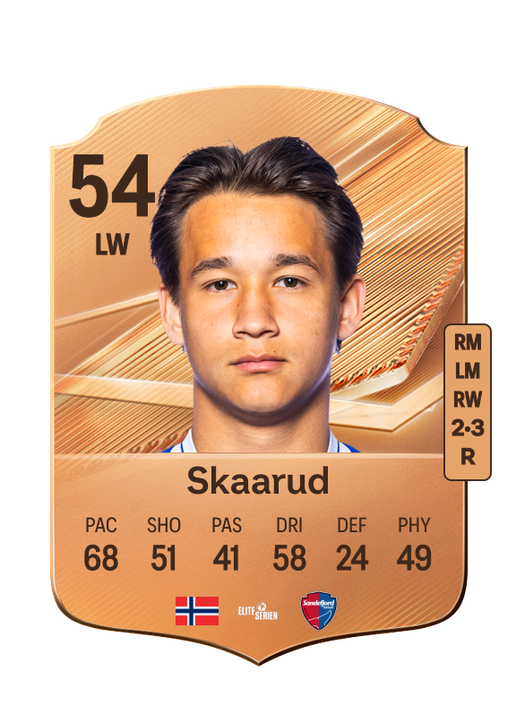 Skaarud