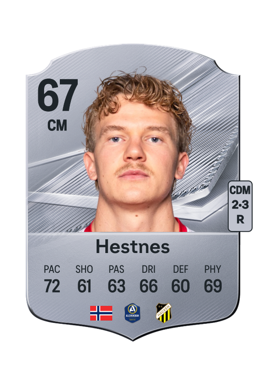 Hestnes