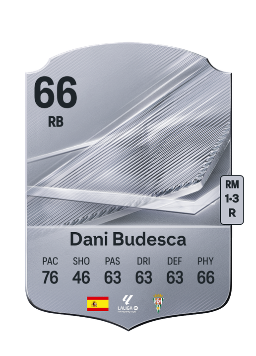 Dani Budesca