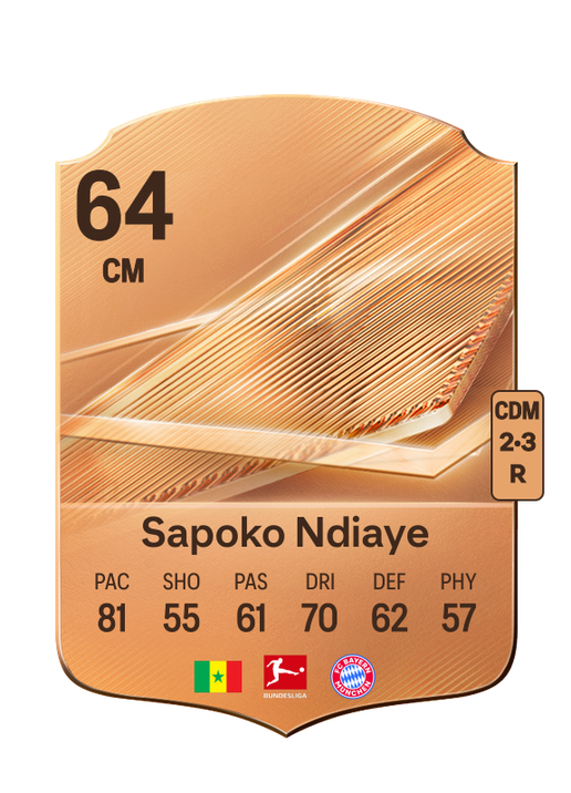Sapoko Ndiaye