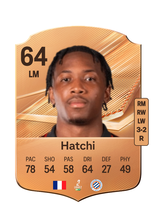 Hatchi