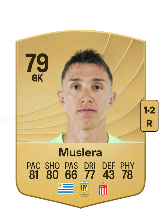 Fernando Muslera card