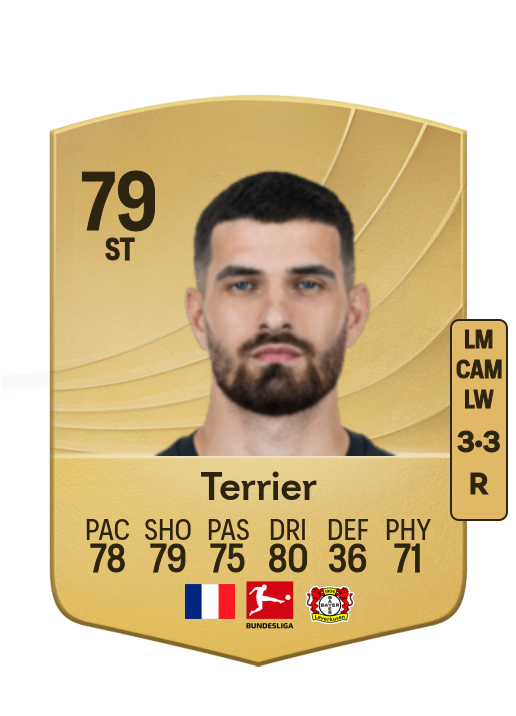 Martin Terrier card