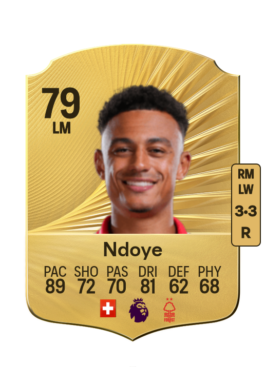 Dan Ndoye card
